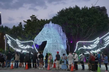 2026中台灣燈會「驚蟄界」人氣爆棚！　建設局打造沉浸式光影體驗邀您走進奇幻春天森林