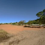 閒置空墓變安全腹地　中市府斥資375萬拓寬墓道強化防災 民政局長：打造安全祭祖新環境