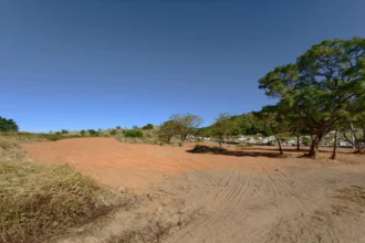 閒置空墓變安全腹地　中市府斥資375萬拓寬墓道強化防災 民政局長：打造安全祭祖新環境