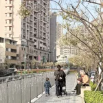 梅川沿岸梅花盛開！　中市推動人本改善 串聯市區賞花更安全舒適