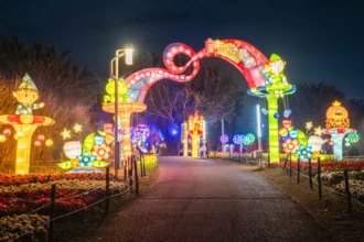 光影互動超吸睛！　2026中台灣燈會2/15登場 教育局打造「童趣歡樂谷」燈區