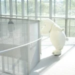 「姆明在哪裡？」 穿梭中市文化場域找線索