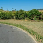 台中再添樹葬新據點　潭子生命紀念館樹葬區啟用 民政局長：提供多元永續殯葬選擇