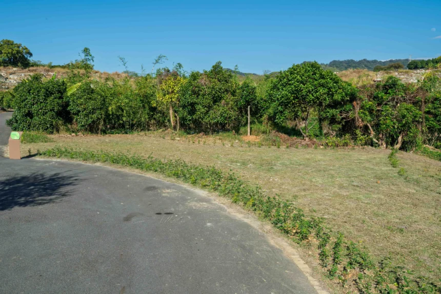 台中再添樹葬新據點　潭子生命紀念館樹葬區啟用 民政局長：提供多元永續殯葬選擇