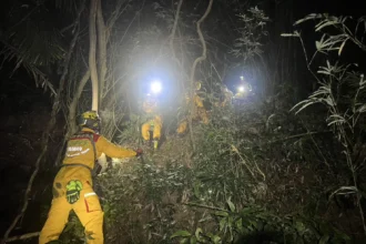 夜幕山林驚魂　基隆消防兩小時成功救回迷途7旬婦