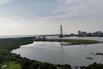 響應世界濕地日　走訪挖子尾自然保留區　觀察濕地秘境的冬季脈動