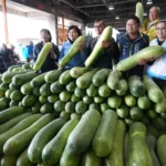 雲林蔬果肉品產銷穩定迎春節　張麗善縣長視察市場請民眾安心採購