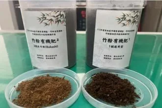雲林縣推動竹產業多元應用　草嶺石壁竹粉有機營養添加物研發與循環利用
