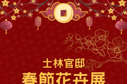 士林官邸蝴蝶蘭、文心蘭交織成瀑　春節走春必訪花藝秘境