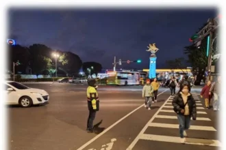 金馬賀歲迎新春　交通順暢喜迎春　松山警守護春節交安