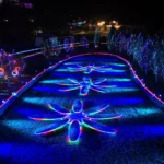 2026南投燈會首創SUP燈區　白天玩漿夜賞燈