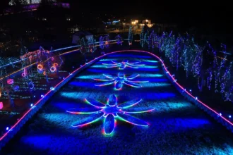 2026南投燈會首創SUP燈區　白天玩漿夜賞燈