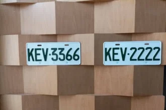 高雄市區監理所辦理　自用大貨車及普通重型機車號牌標售