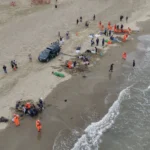 小虎鯨回家了！屏東擱淺救援成功 MARN團隊助其重返大海