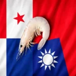 經貿熱絡難撬外交突破　台巴關係仍陷僵局