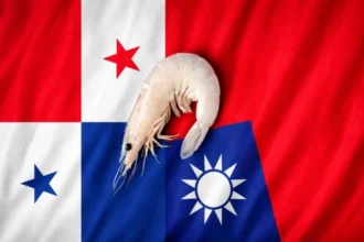 經貿熱絡難撬外交突破　台巴關係仍陷僵局