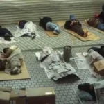 紙箱下的日本　被忽視的經濟與社會警訊