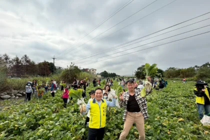 步步高升好彩頭　竹山鎮拔蘿蔔體驗活動加碼　現炸蘿蔔糕