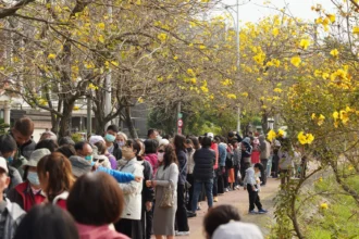 黃敏惠邀全台遊客來嘉賞花！「潮風鈴」音樂市集週末八掌溪畔登場
