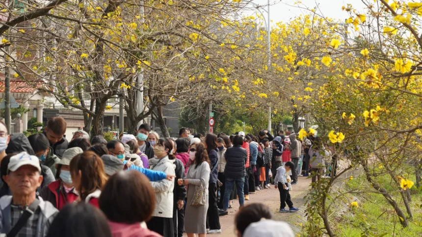 黃敏惠邀全台遊客來嘉賞花！「潮風鈴」音樂市集週末八掌溪畔登場