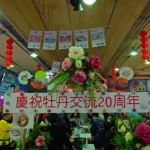 日式牡丹驚艷建國花市　台日花卉展、島根貓熱鬧迎春