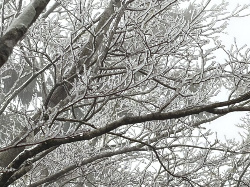 寒流發威　太平山下冰霰、遊客興奮搶拍
