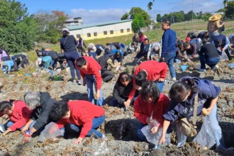 2026「搖滾馬鈴薯」產業文化推廣活動登場　走進潭子田園感受農村新魅力