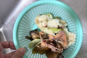 臺東環保局推「惜食三原則」　從餐桌做起減廚餘