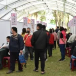 古坑徵才釋逾1,200職缺　綠色隧道變身面試場