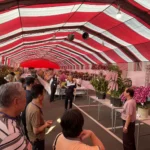 2026春季蘭花評鑑競賽　花農洪長勇獲全場總冠軍