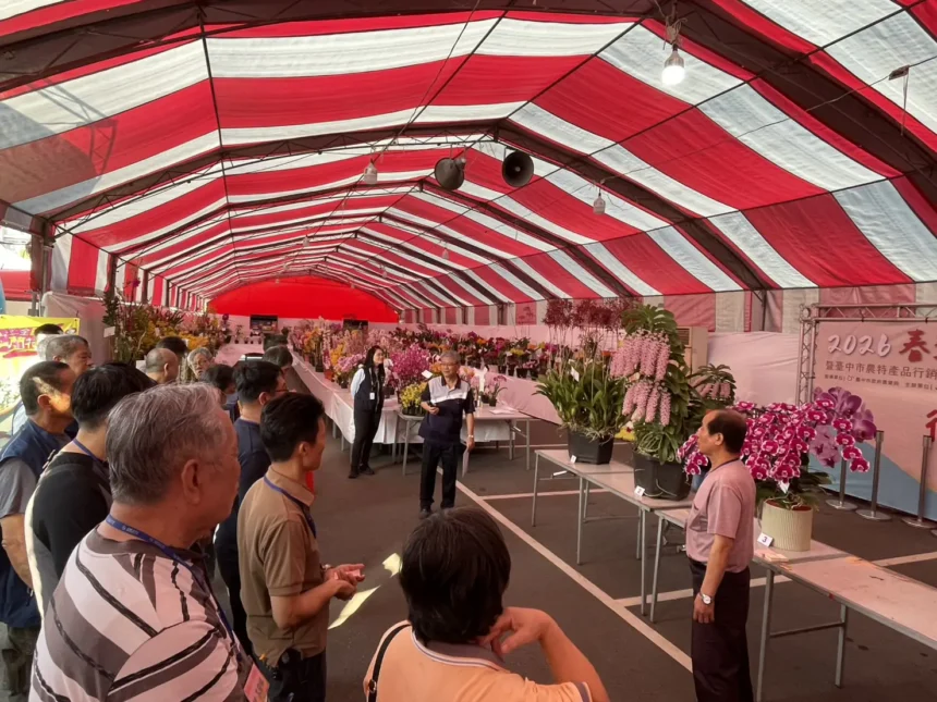 2026春季蘭花評鑑競賽　花農洪長勇獲全場總冠軍