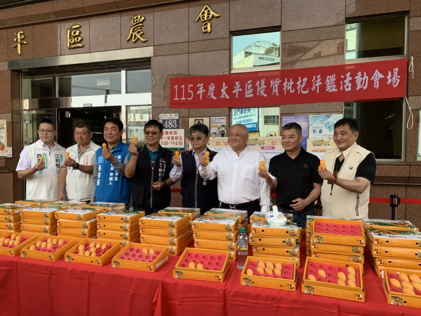 太平枇杷王出爐！台中優質枇杷評鑑揭曉　品質再獲肯定