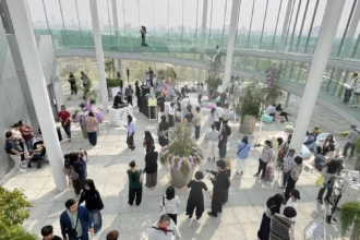 綠美圖「世界的索引」展覽夯　金音獎得主現場演出掀閱讀新浪潮