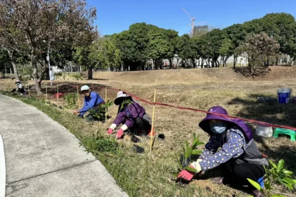 中央公園啟動原生植物培育行動！　建設局攜手科博館打造都市原生種苗庫