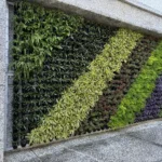 中市環保局推「廣植栽、廣植林」 輔導學校、社區、企業共同打造花園城市