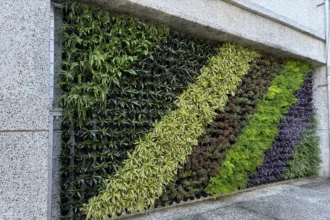 中市環保局推「廣植栽、廣植林」 輔導學校、社區、企業共同打造花園城市