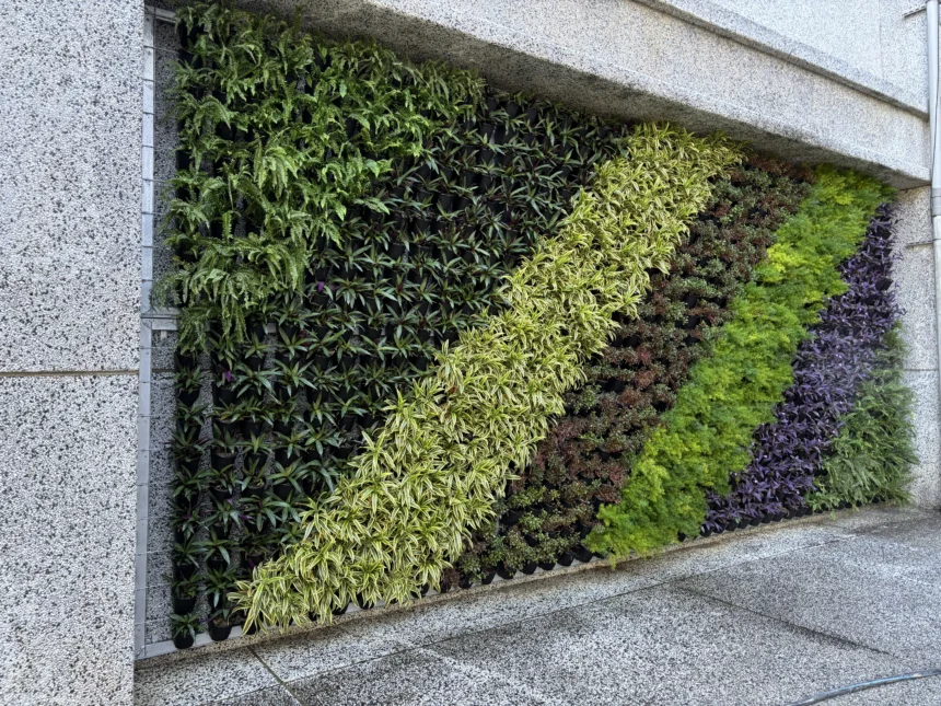 中市環保局推「廣植栽、廣植林」 輔導學校、社區、企業共同打造花園城市