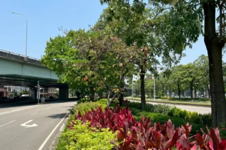 公私協力打造城市綠廊！　中市府媒合8企業投入逾3億元參與城市綠化建設