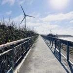 中市濱海自行車道設施修繕完工　中市觀旅局：打造安全舒適騎乘環境