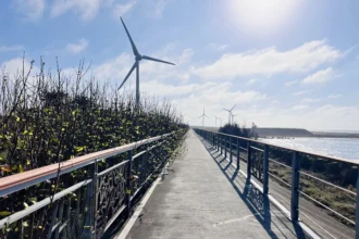 中市濱海自行車道設施修繕完工　中市觀旅局：打造安全舒適騎乘環境