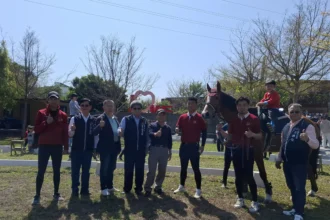 「神馬到來．Horse農來！」熱鬧登場　神岡文化季邀親子體驗食農教育