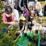 回收也能種下綠意　中市環保局植樹月推換苗換肥落實淨零綠生活