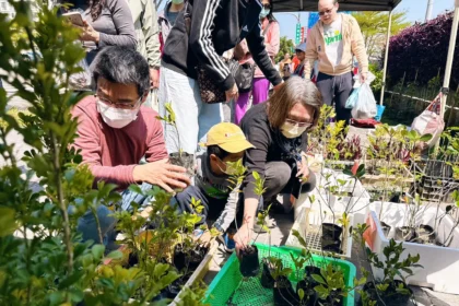 回收也能種下綠意　中市環保局植樹月推換苗換肥落實淨零綠生活