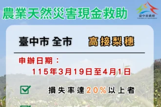 中市高接梨穗災損補助　3/19-4/1受災農民可申請現金救助