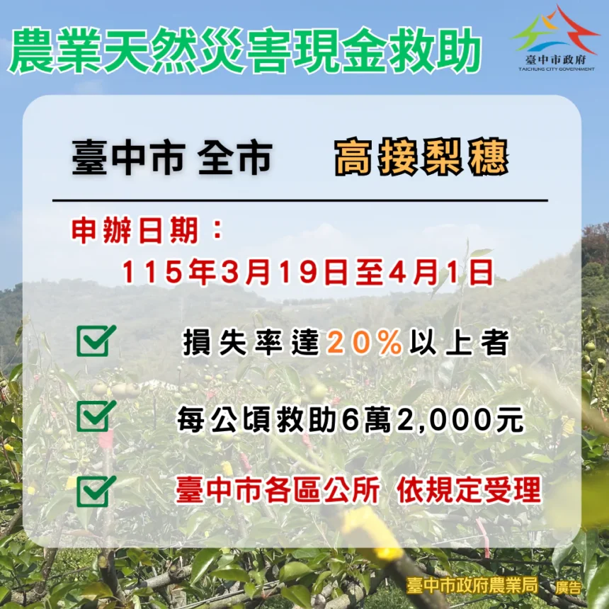 中市高接梨穗災損補助　3/19-4/1受災農民可申請現金救助