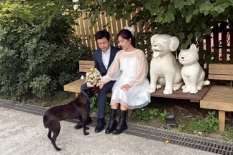 黑貓牽紅線　資深動保人攜手愛妻到中和動物之家拍婚紗　用愛傳遞生命教育