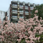 阿里山賓館推賞花精華路線　攝影達人帶路探森林秘境