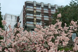 阿里山賓館推賞花精華路線　攝影達人帶路探森林秘境