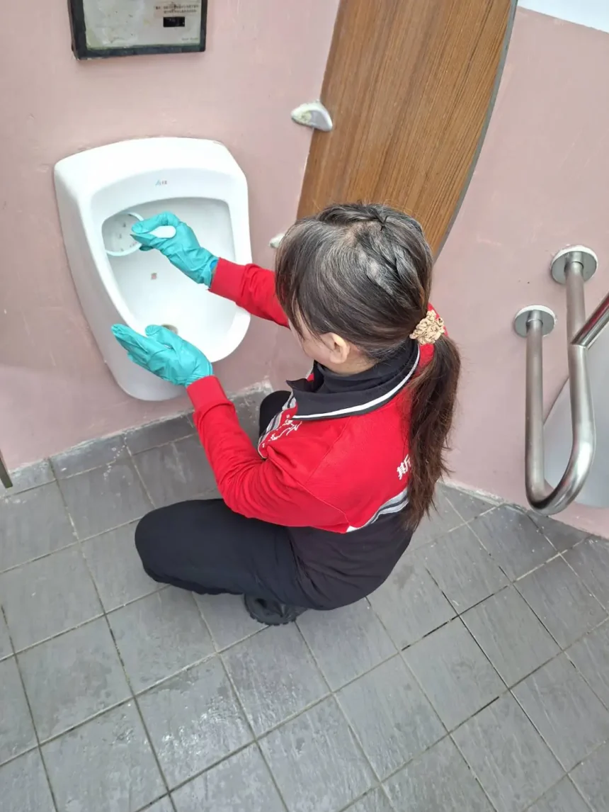 竹子湖花季迎客　北市導入公廁健檢打造乾淨如廁環境