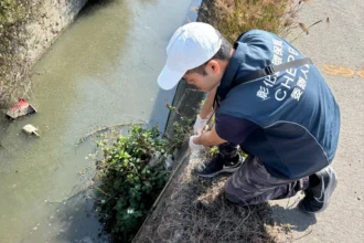 木棉花季到來　啟動東螺溪畜牧專案稽查